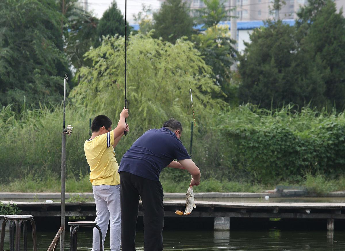 钓草鱼的技巧全在这里，掌握后草鱼排着队进窝咬钩，果断收藏